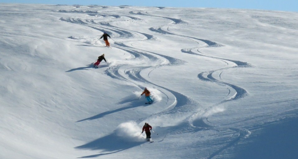 Skiing & Snowboarding